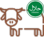 Carne bovina HALAL