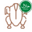 Frango HALAL
